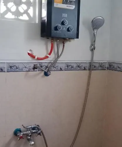 Проживание в семье Rindu