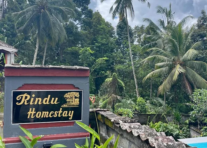 Rindu Undisan